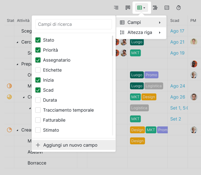 Table_view_Custom_Fields