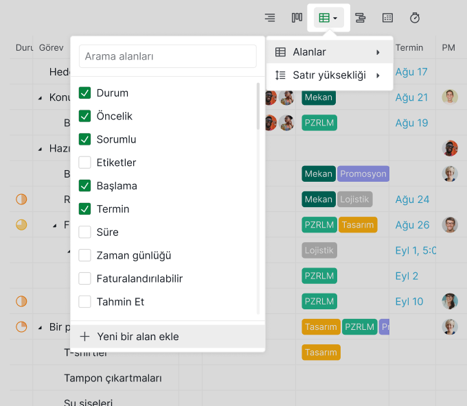 Table_view_Custom_Fields